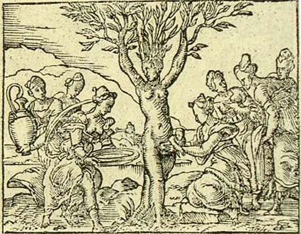 Bernard Salomon, M&eacute;tamorphoses, Lyon
                        1557