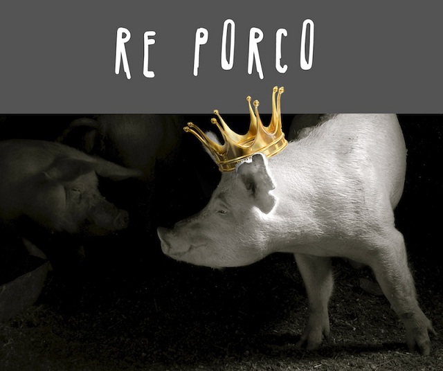 Re porco