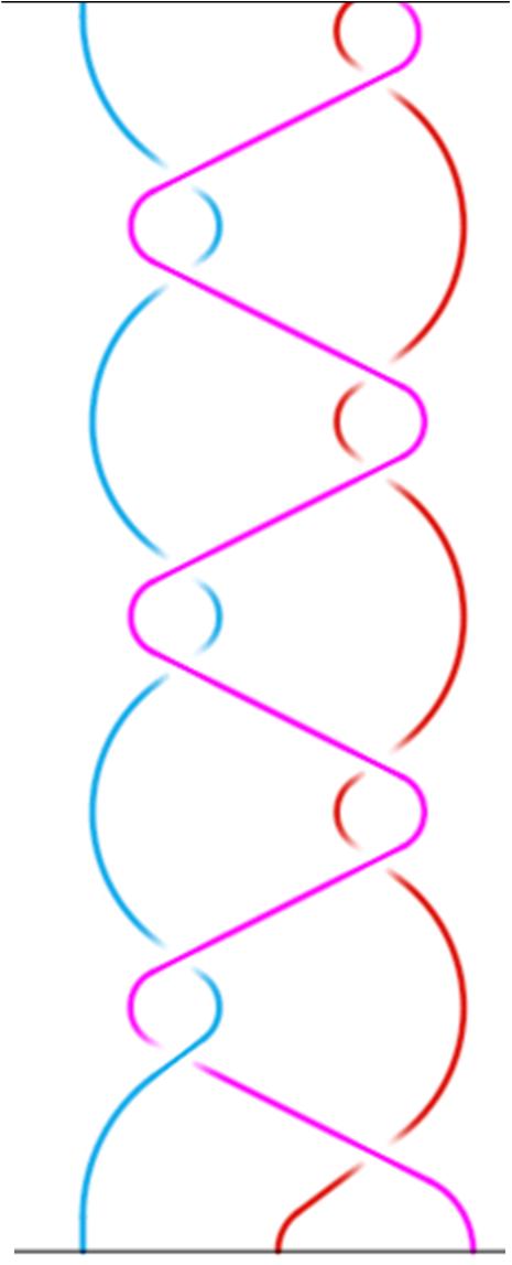 treccia Cenne 3 parziale